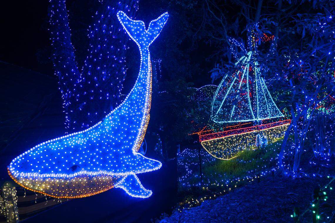 Light displays of a whale and sailboat shine at the Cambria Christmas Market on Friday, Nov. 21, 2025. The annual Christmas market will open its doors on Nov. 29, 2025.