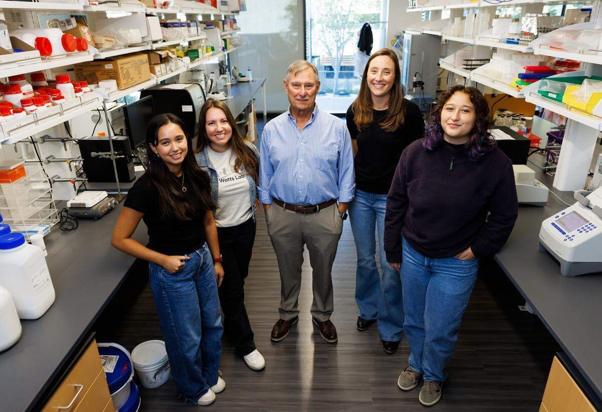 A Cal Poly research team including, from left, Safiya Rufino, Rachel Johnson, Raul Cano, Katherine Watts and Kaitlyn Calligan, examines prehistoric bacteria for antibiotic properties.