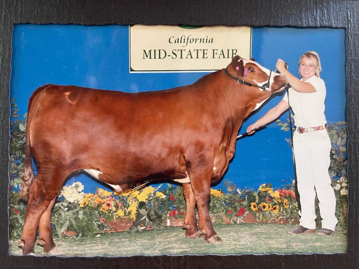 Sixteen-year-old Callie Twisselman showing off her steer at the fair.