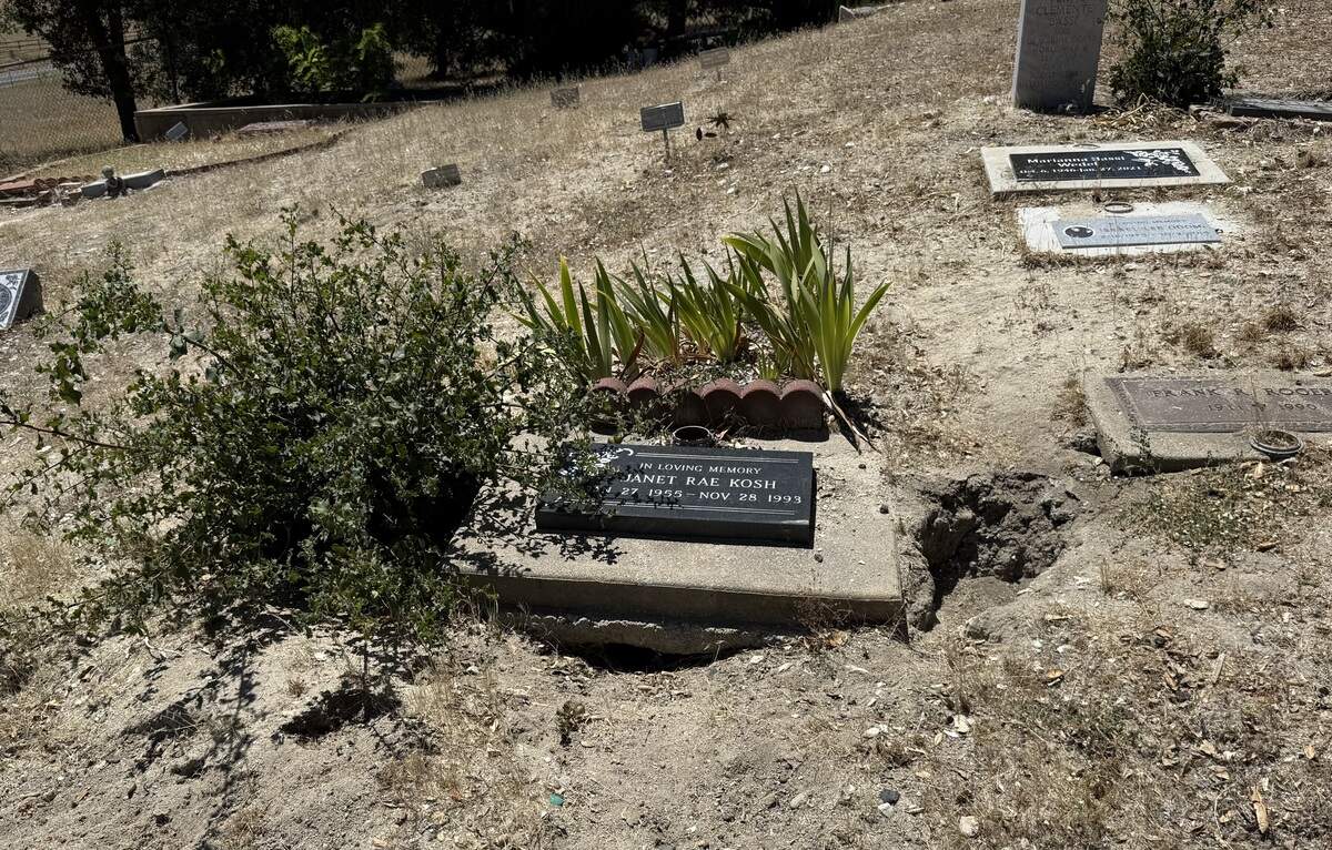Several headstones at the Santa Margarita Cemetery were surrounded by overgrown plants as of June 2026.