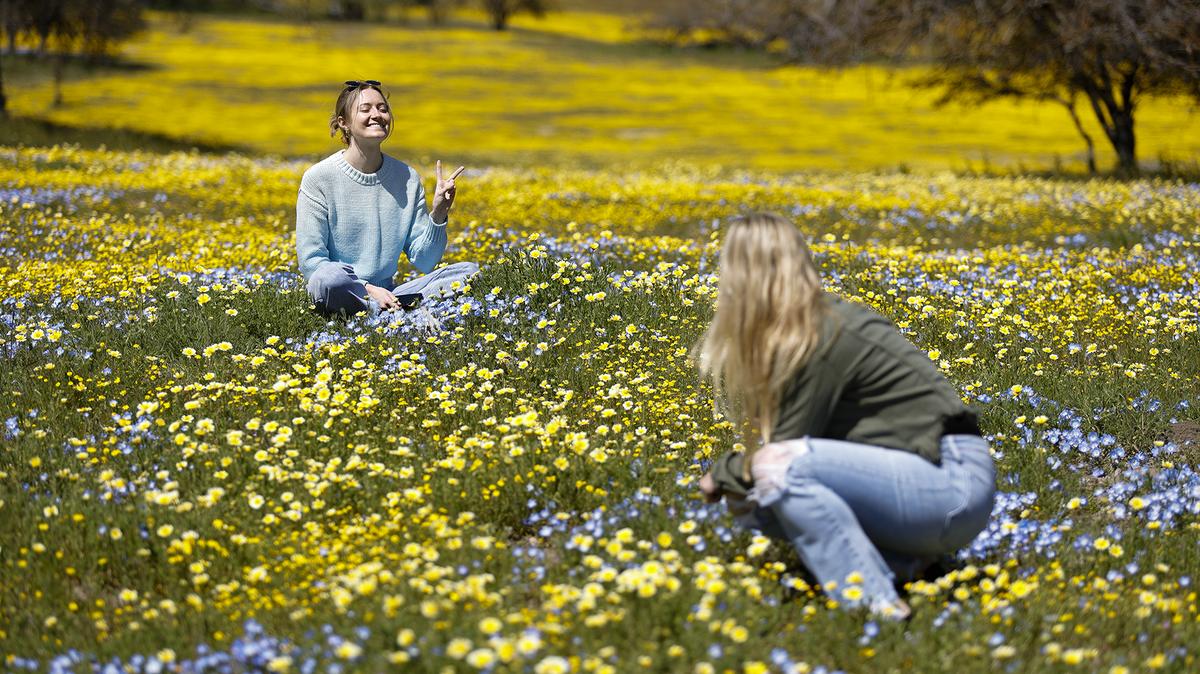 Grace Curtis of Sacramento poses for a photo by her sister Christine Wilson of San Luis Obispo in a field of wildflowers along Shell Creek Road, April 1, 2023.