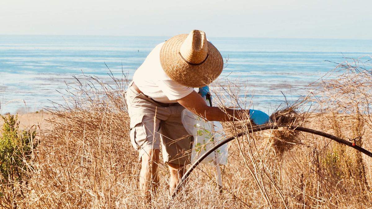 Coastal Cleanup collection from Estero Bluffs in 2017.