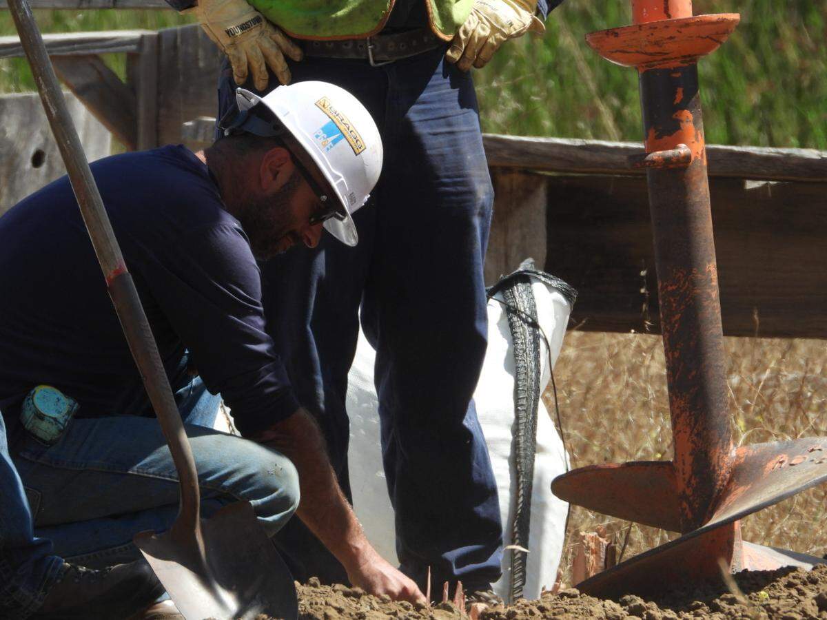 PG&E installed two 80-foot wood poles at Cal Poly to help the university’s logging team host a national forestry competition in 2026, where pole-climbing will be the main sport.