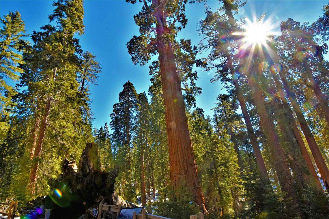 PG&E meteorologist John Lindsey took this picture of Sequoia National Park in February 2020. 