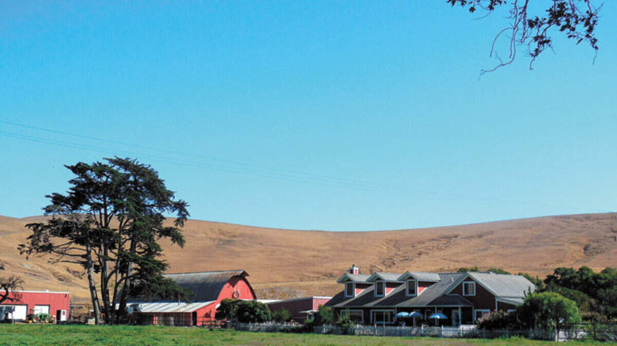 The Pedotti Ranch on San Simeon Creek Road, near the area first homesteaded by E.A. Clarke and family, is a stop on the Harvest Festival Farm and Ranch Tour.