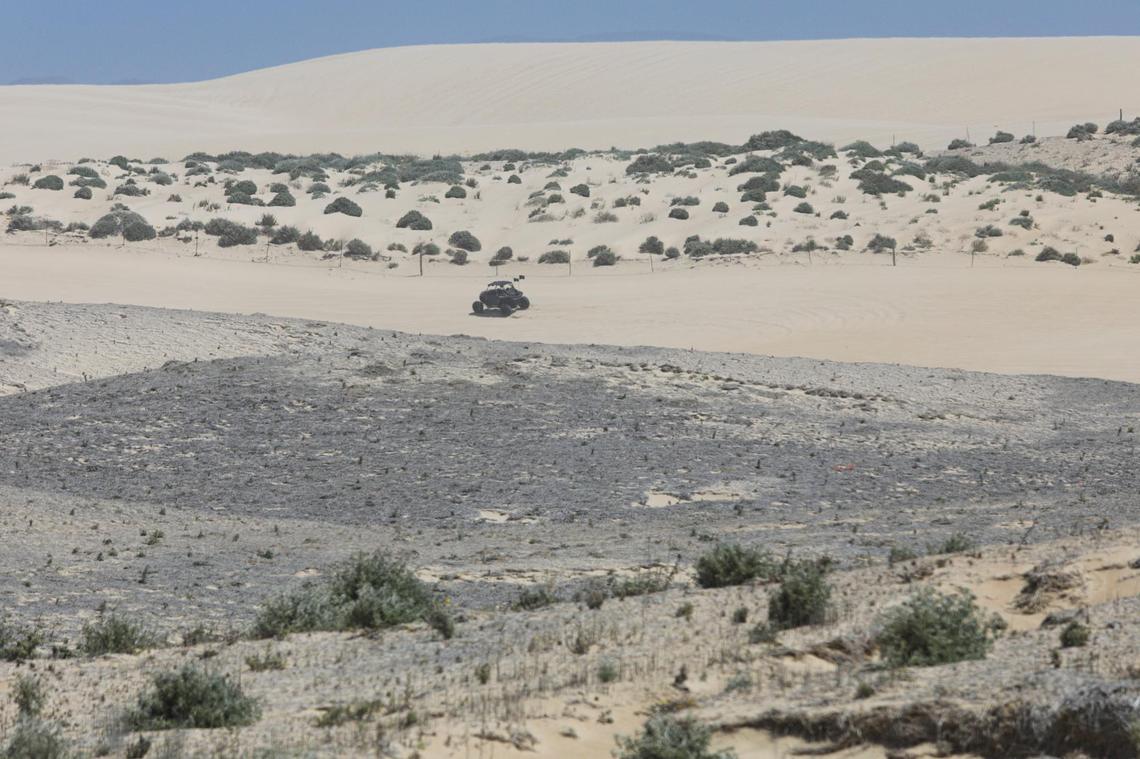 A dune vehicle passes between two revegetation projects at Oceano Dunes SVRA. In the background is an established, three-year-old project and in the foreground is a one-year-old project to reduce air pollution from blowing dust.