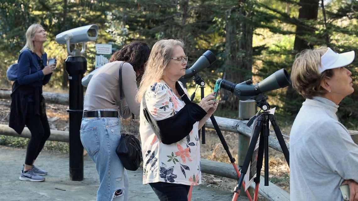 Visitors check out the view by telescope as monarch butterflies are making their annual return to the grove in Pismo Beach Nov. 8, 2023.