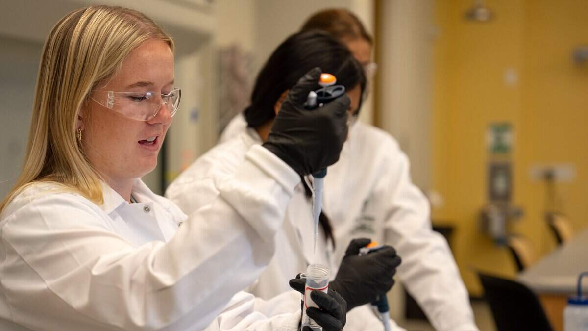 Fourth year biological science major Maia Lambson pipettes a solution containing synthetic cell components at Cal Poly on June 24, 2026. Synthetic cells are manufactured in batches of millions in labs, and can be created to accomplish specific functions.