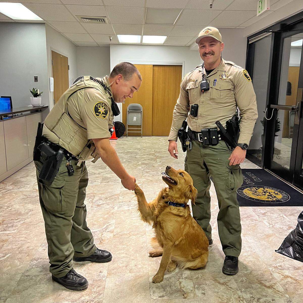 After deputies from the San Luis Obispo County Sheriff’s Office rescued Blossom, the golden retriever was returned to her family.