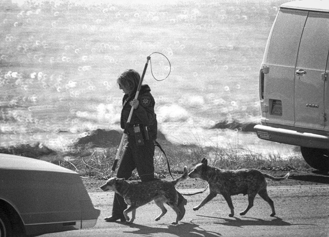 Dorothy Alice “Toby” Tate was found shot to death in her van at a turnout on Highway 1 near San Simeon on on Nov. 15, 1983. Her two Queensland Blue Heeler dogs were found at the scene Nov. 15, 1983.