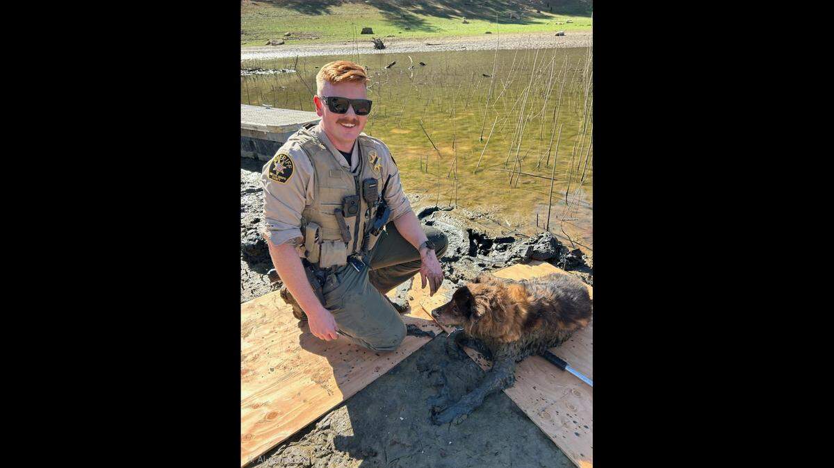 A San Luis Obispo County Sheriff’s Office deputy rescued 16-year-old dog Jagger from mud in Lake Nacimiento on Nov. 3, 2025.