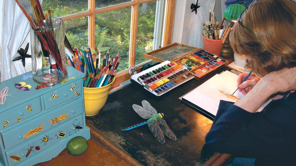 Sharon Lovejoy at work in her studio.