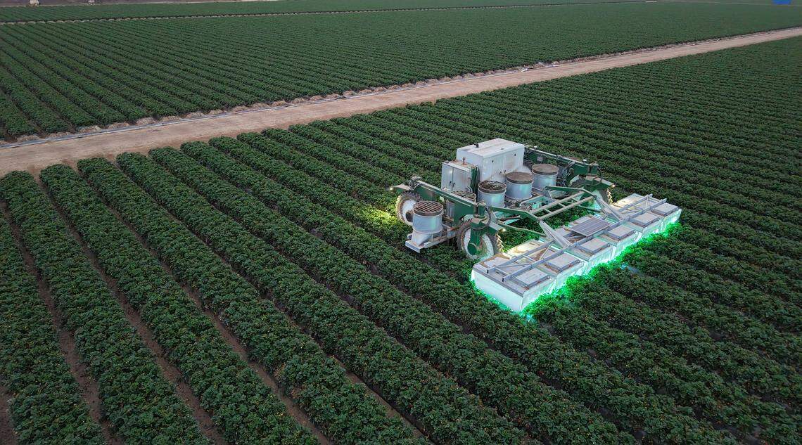 Tric Robotics works with farmers to deploy tractor-scale robots that use ultraviolet light in place of chemical pesticides on crops.