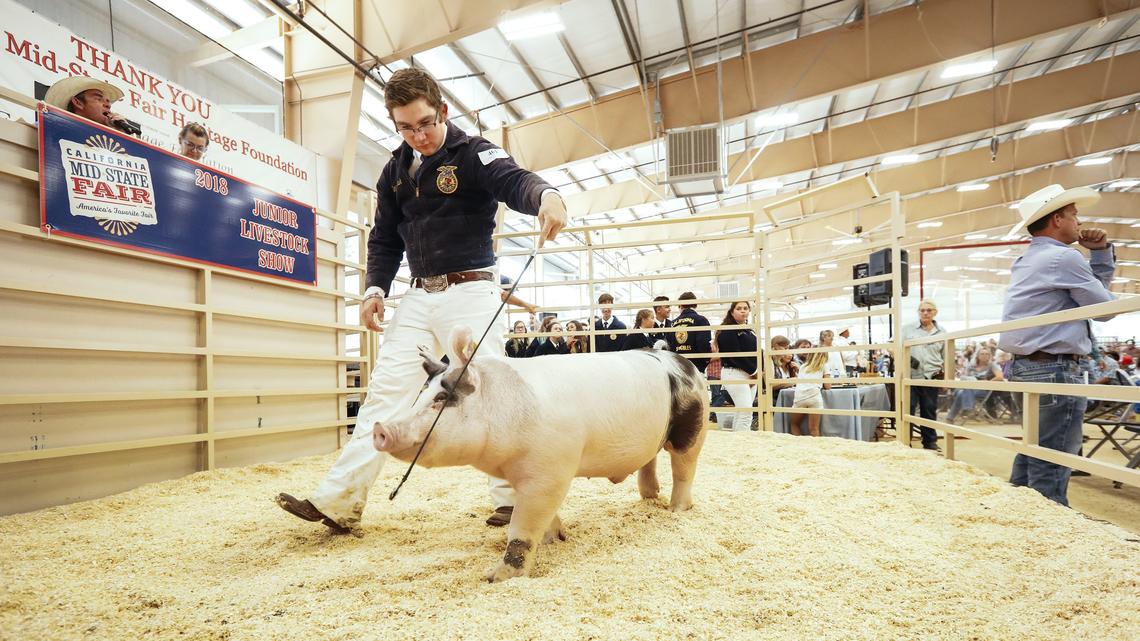 Mid-State Fair Junior Livestock Auction pulls in more than $2.2 million