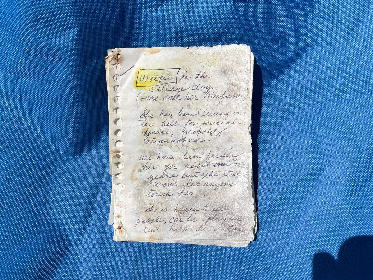 Pages from the notebook neighbors left out to mark when they fed Wolfie.