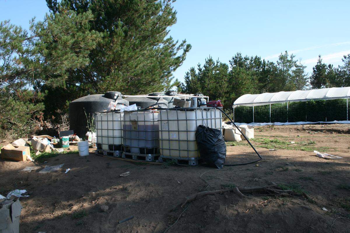 Tanks filled with pesticides were found on land cleared for a marijuana farm, according to the Sheriff’s Office.