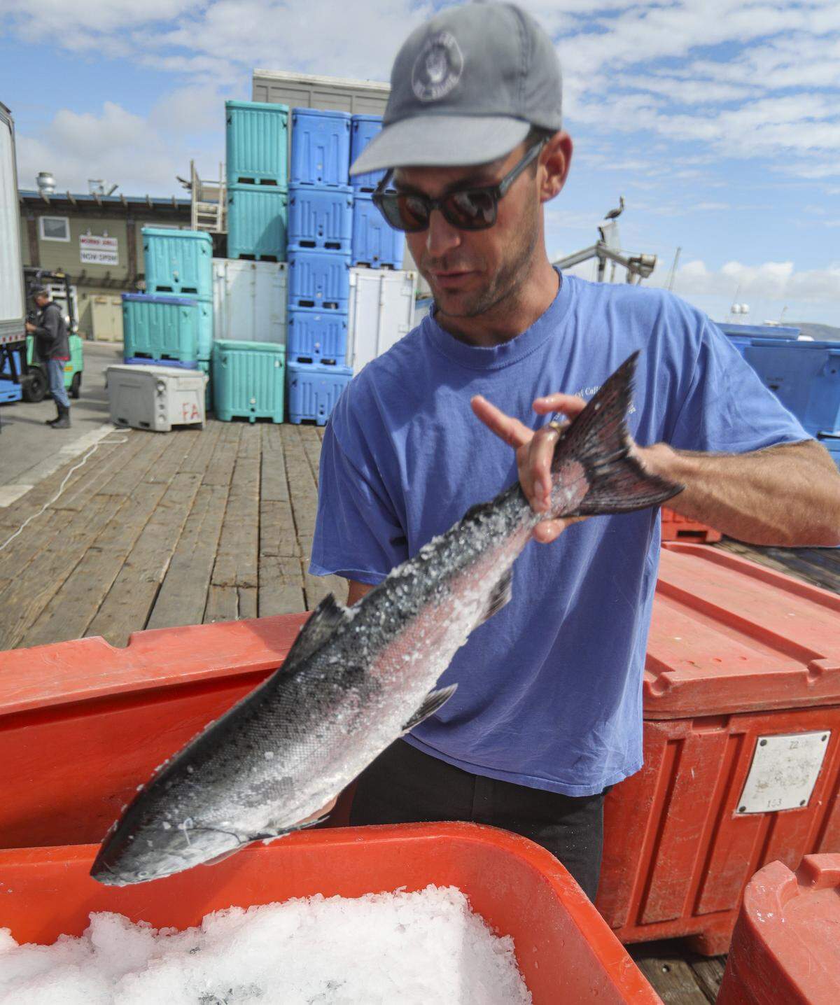 Garrett Rose showed off some fresh-caught California King Salmon, packed in ice, on May 5, 2026. The commercial fishing season opened in Morro Bay on May 1, 2026.