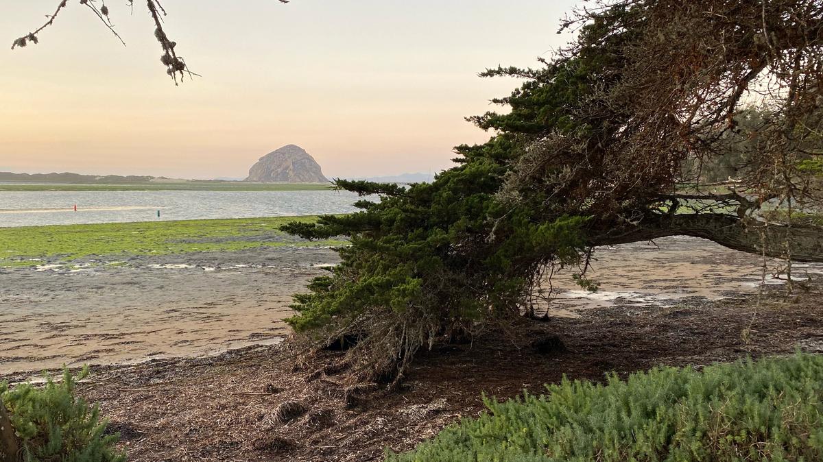 In Morro Bay, the tide went from a high of 5.7 feet at 9:43 a.m. to a low of -0.9 feet at 5:24 p.m.. Dec. 4, 2021. This photos was taken near the Morro Bay Natural History Museum at 4:50 p.m., about 34 minutes before the lowest point as the sun set over the Pacific.