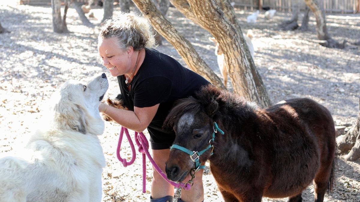 Kathy Curtis has been a foster parent for four years. Her family also cares for a variety of animals, like Ranger, a Great Pyrenees who is almost as tall as Momo, a mini horse.