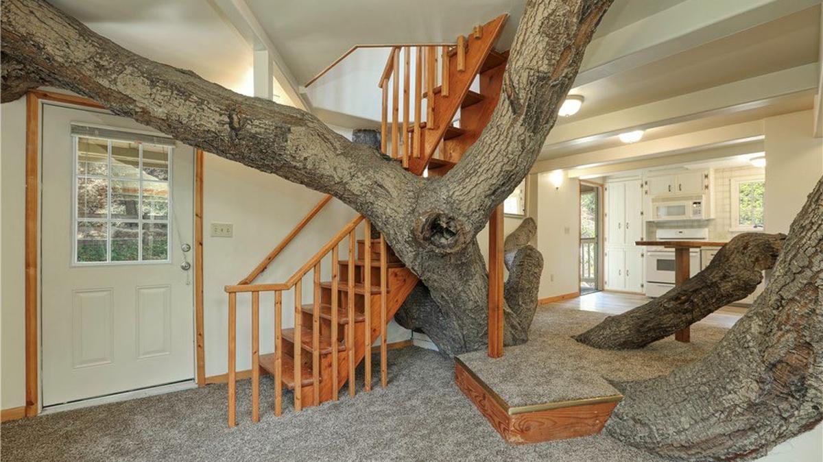 Inside the tree house dwelling on the compound at 765 Price Canyon Road in Pismo Beach, California.
