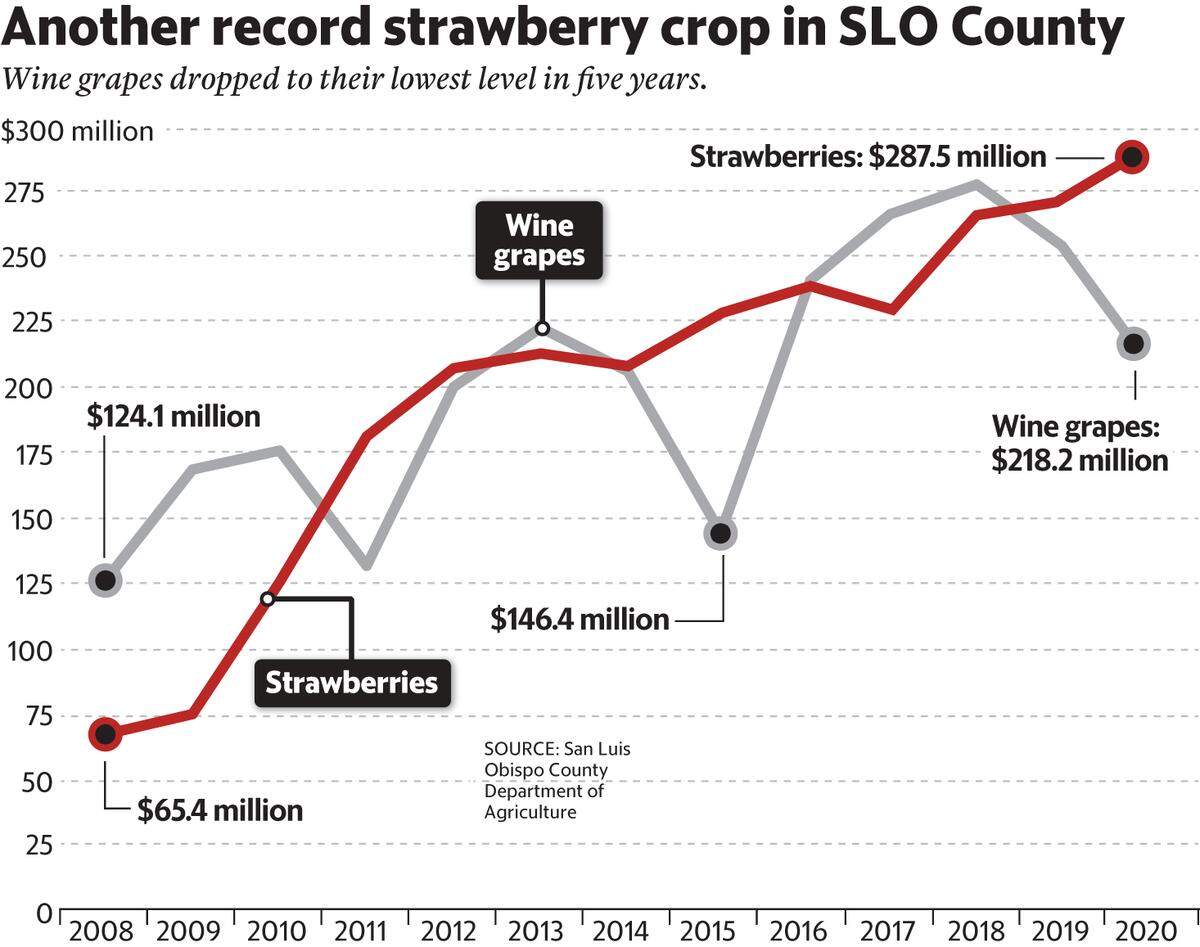 2020 strawberries vs. wine grapes