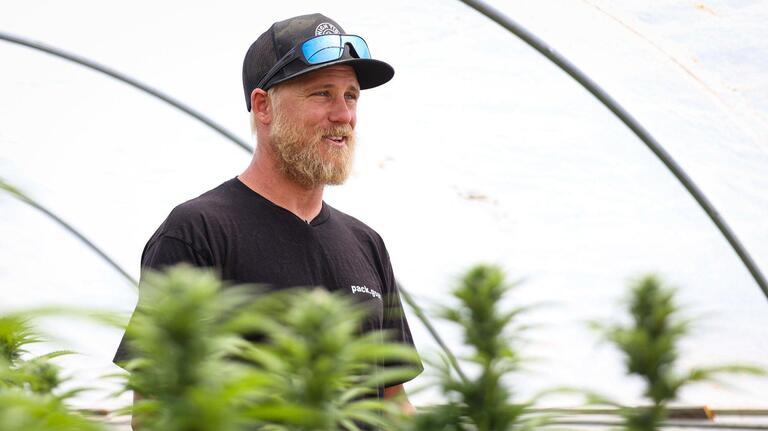 Local cannabis growers push SLO County to lower business tax rate