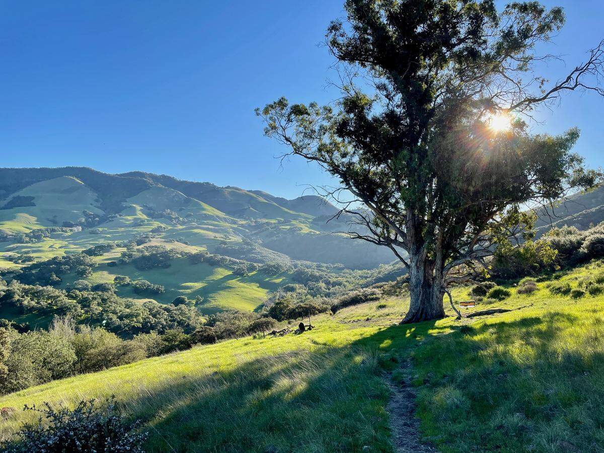 The Reservoir Canyon trail in San Luis Obispo offers views of the surrounding hills.
