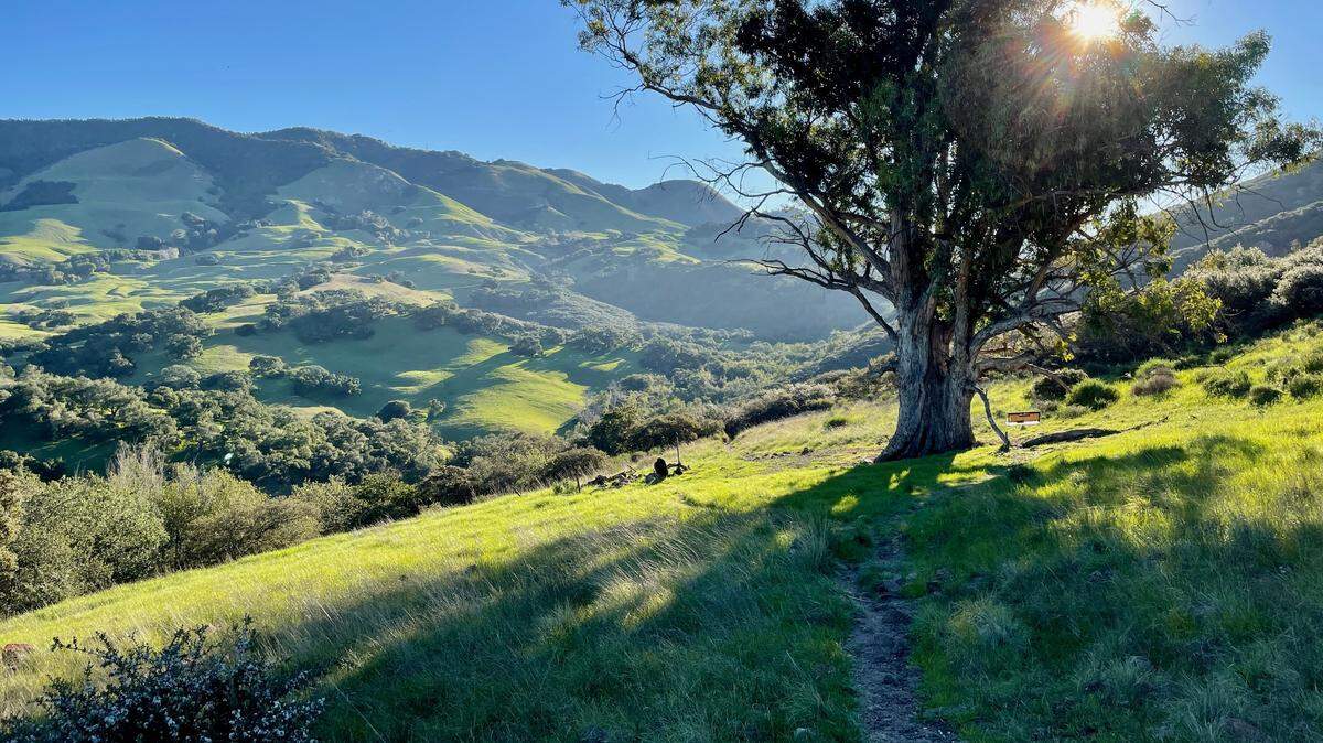 You’ll be greeted by stunning views along the Reservoir Canyon trail in San Luis Obispo.