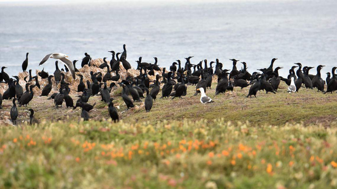 SLO County saw below-average rainfall this season. What will the 2020 rain year bring?