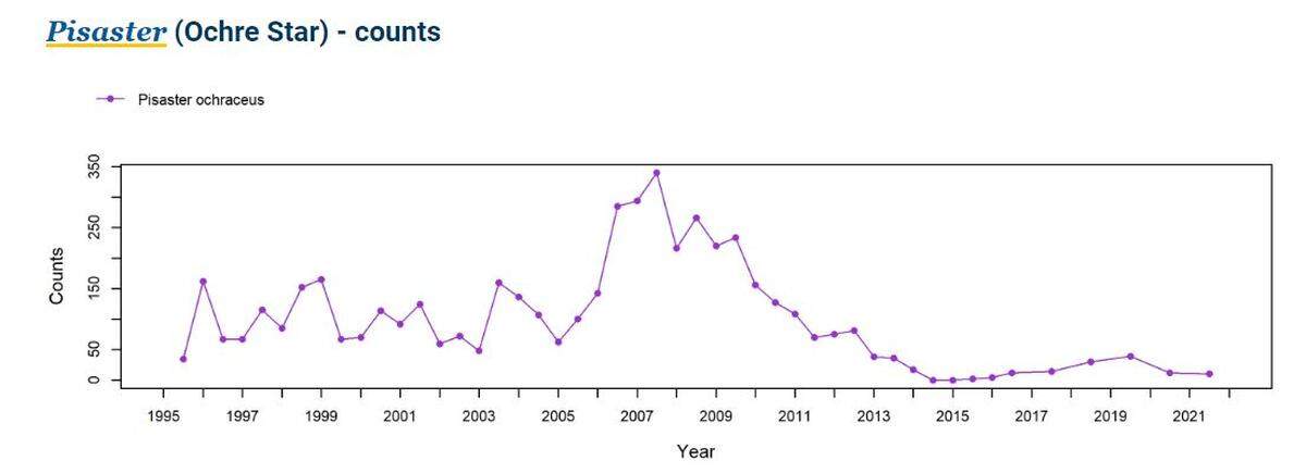 This graph by MARINe shows how the ochre sea star population at Hazard Cove in Montaña de Oro State Park plummeted after sea star wasting syndrome took hold in 2013.