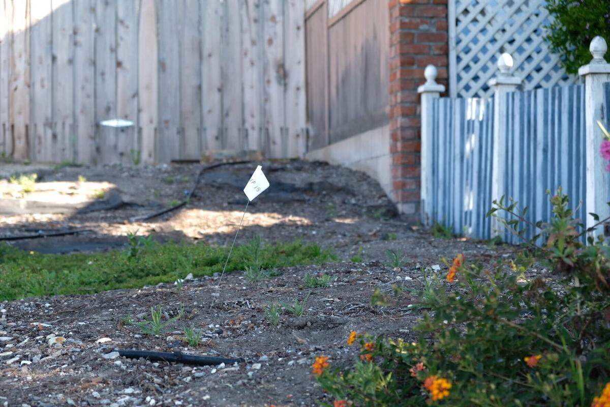 The San Luis Obispo County Sheriff’s Office continued to serve a search warrant in the Kristin Smart case on Thursday, May 7, 2026, at the Arroyo Grande home of Susan Flores, the mother of convicted killer Paul Flores.
