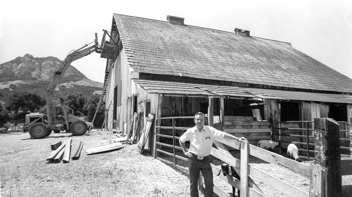 Then owner, Ray Bunnell, stands in front of barn as restoration efforts were underway on the almost century old dairy barn on Aug. 17, 1982. The Mail Pouch Barn on Highway 1 at the base of Bishop Peak carried a chewing tobacco advertisement on the roof for many years. It was a popular subject for artists but when the roof deteriorated it was replaced and not repainted and the advertising campaign ended a few years later.