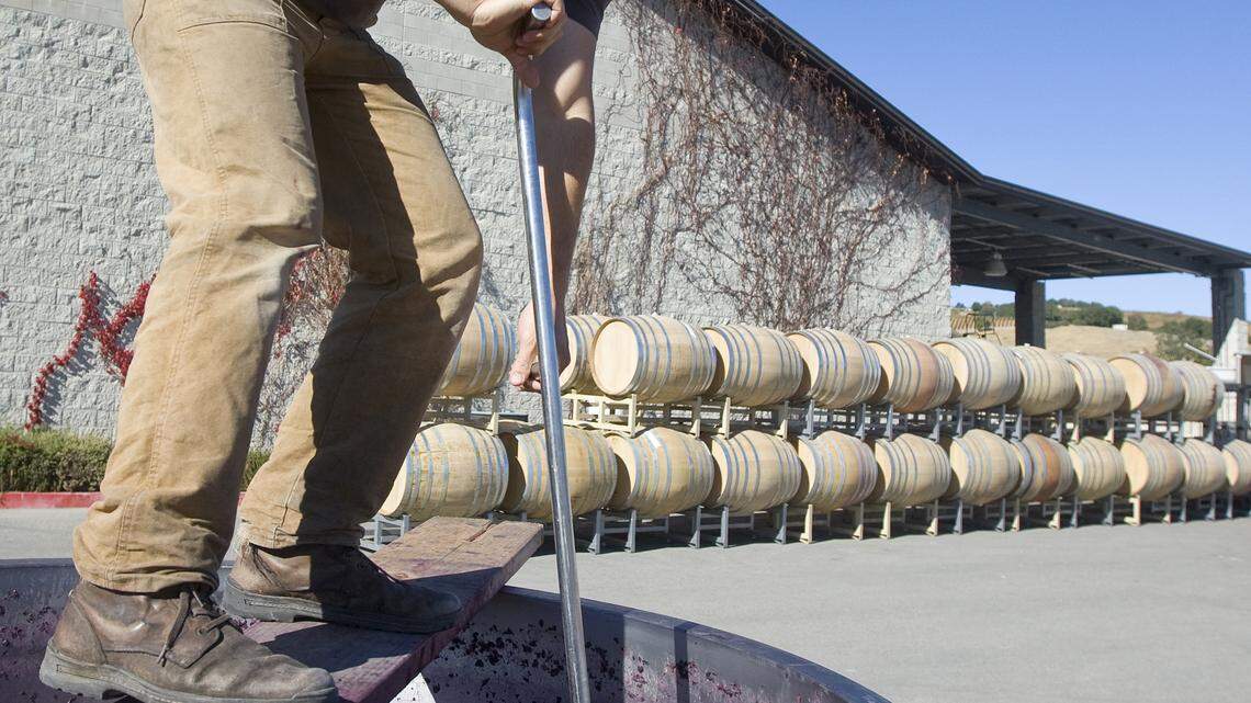 Jason Joyce, winemaker at Calcareous Winery in Paso Robles, "punches down" grape skins into fermenting juice Tuesday, Nov. 5. The three-ton vats of zinfandel must be punched down twice a day during early fermentation.
