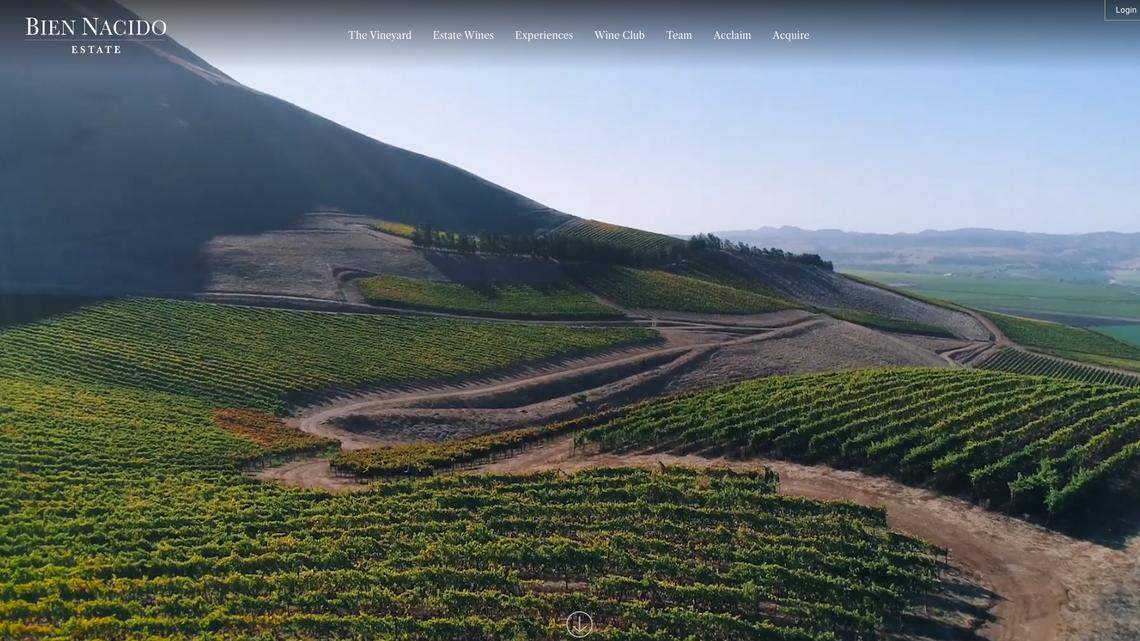 This Central Coast vineyard named best in California. Here’s why Food & Wine loves it