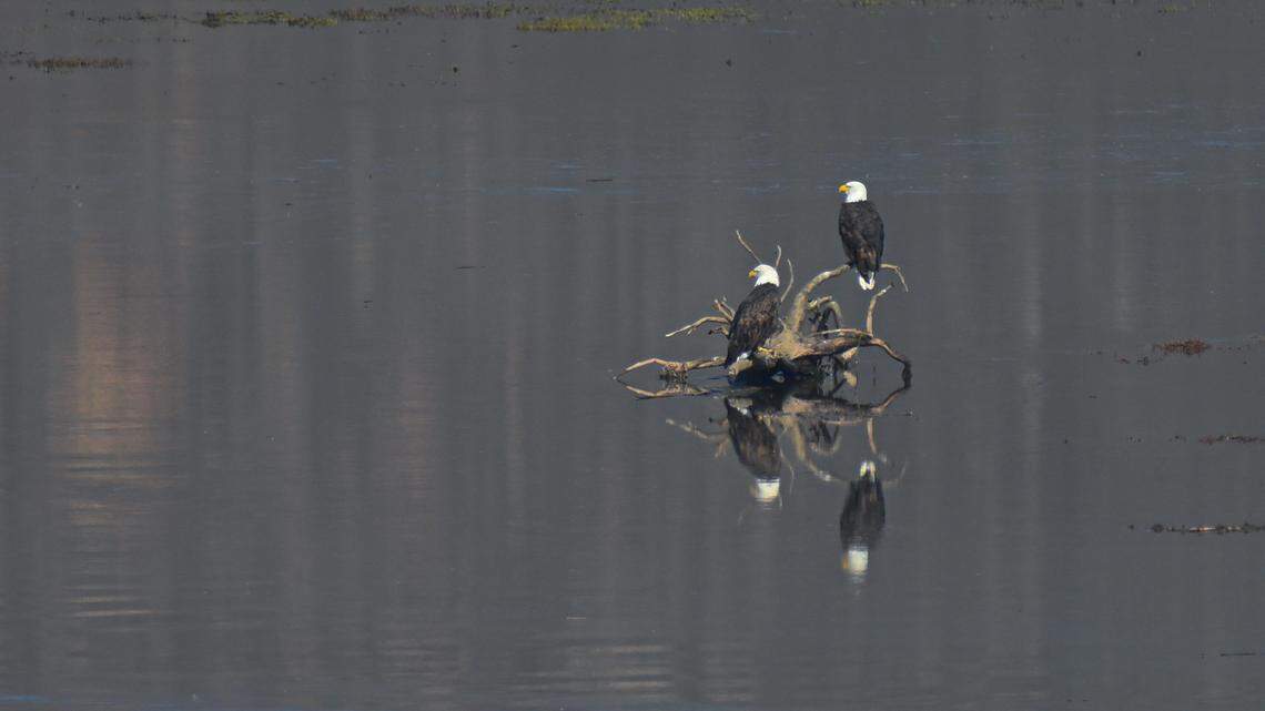 SLO County weather: Thanksgiving week forecast calls for clear skies and mild temperatures