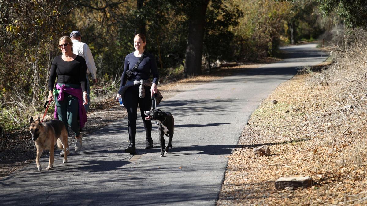 Becca Balsille walks her dog, Kaia, and Allison Mickel walks her dog, Gunner, along San Luis Creek near Ontario Road on Dec. 3, 2024. The Bob Jones Trail is proposed to run from San Luis Obispo to Avila Beach but has not yet been completed.