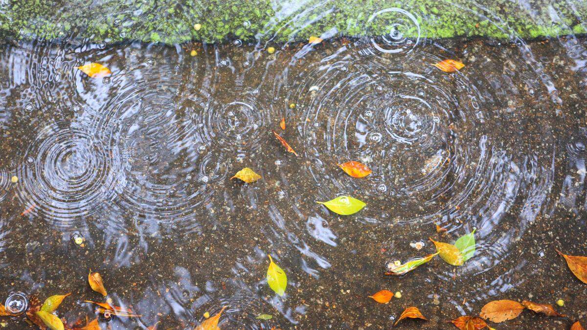 Raindrops ripple a puddle on Monterey Street in front of the San Luis Obispo Chamber of Commerce office on Monday, Nov. 7, 2022.