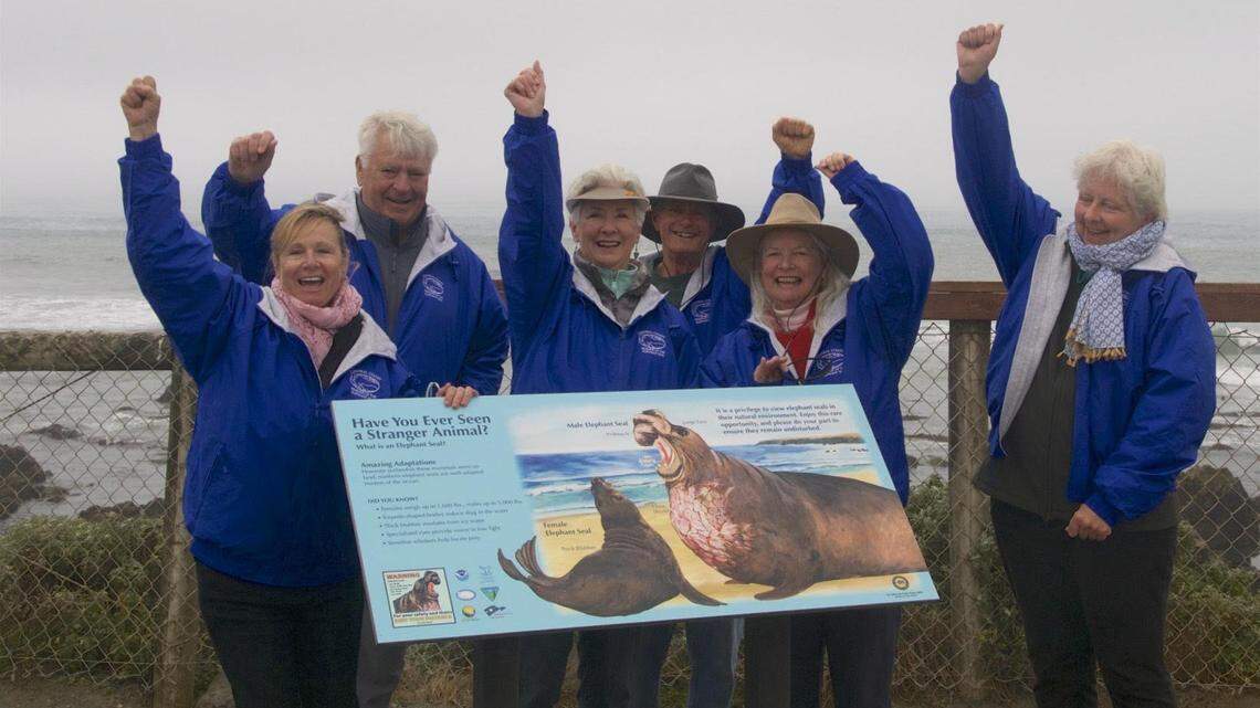 Cambrian letters to the editor, April 5, 2018