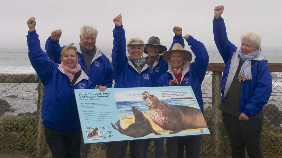 Friends of the Elephant Seal recently celebrated its 20th anniversary. Here, members of the 2017 spring class of docents show off their blue jackets April 2 of last year. Left to right: Melinda Fielder, Rich Grabowski, Susan Hill, Michael O'Bannon, Pat Pyle and Deborah Way.
