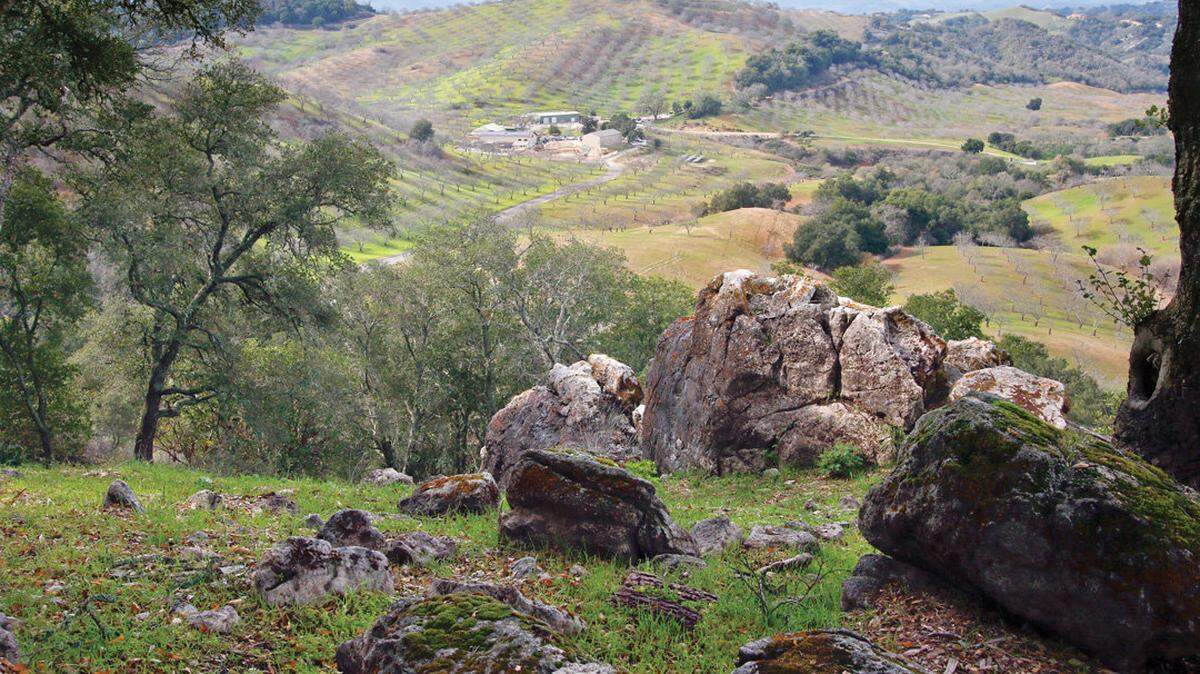 A hilltop view of Adelaida Cellars shows some of the walnut orchards surrounding the winery.