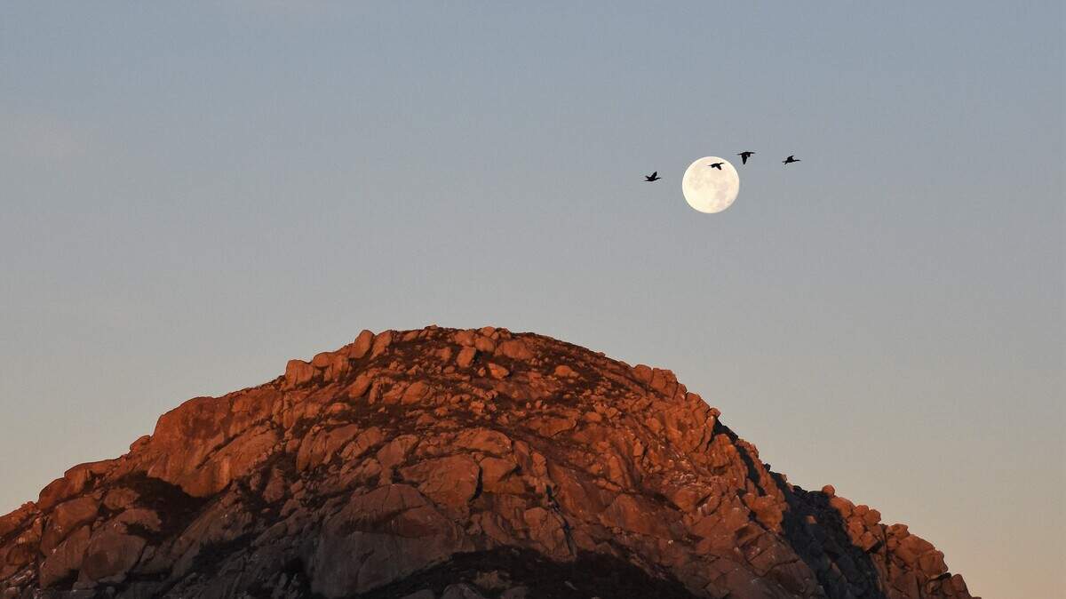 A “moonset” over Bishop Peak in San Luis Obispo on the morning after the winter solstice on Dec. 21.