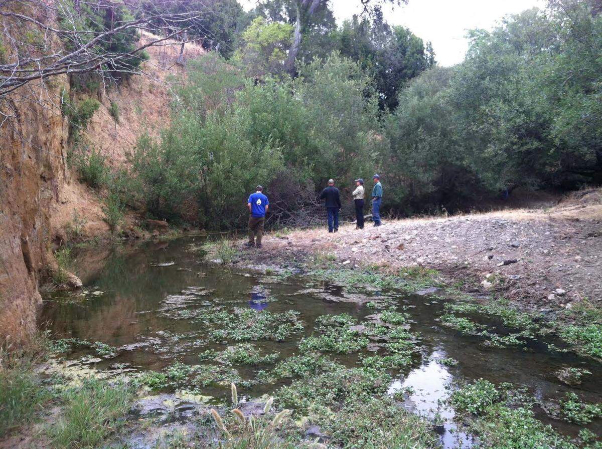 People involved with the 2020 project by the Upper Salinas-Las Tablas Resource Conservation District (RCD) and others to protect the Santa Rosa Creek bank survey the area after a January storm wiped out much of what had been installed there.