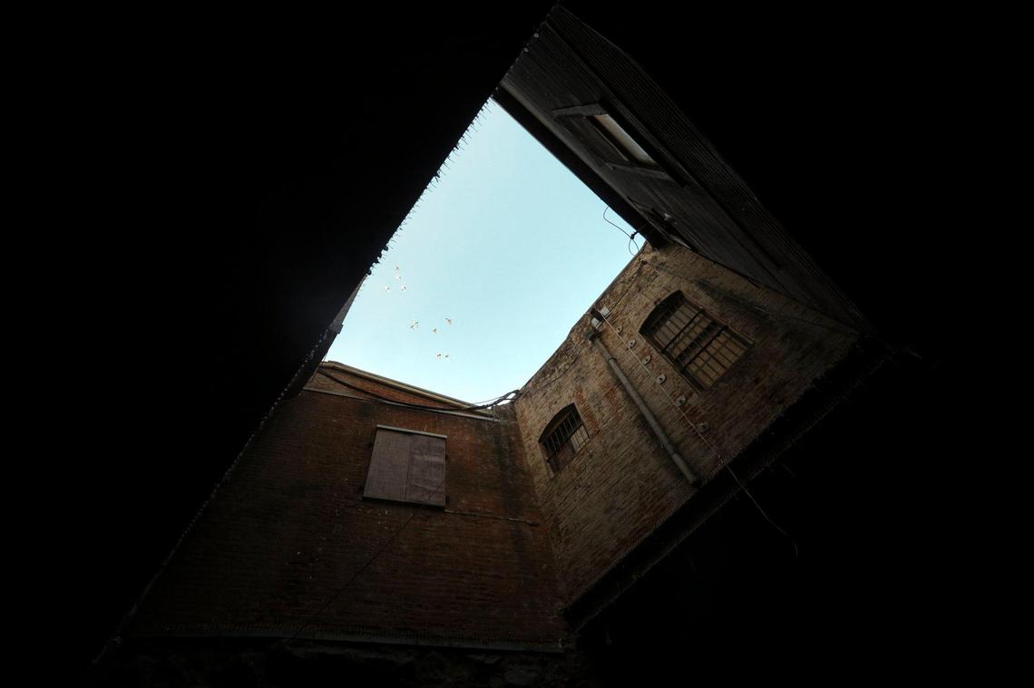 Pigeons living in the San Luis Obispo Creek tunnel contributed to unsafe bacteria levels in the water. They can enter the tunnel from air shafts seen here on Oct. 28, 2024.