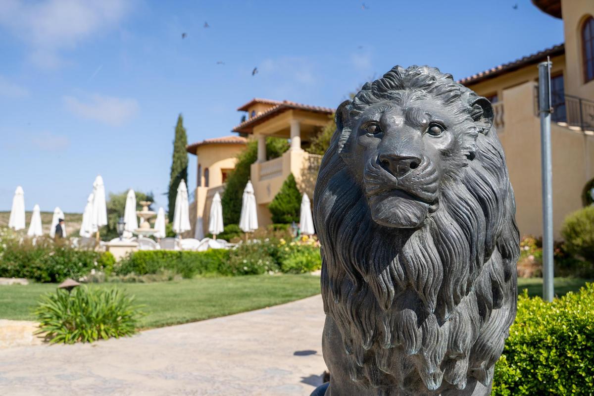 Villa San-Juliette’s 100-acre vineyard produces 12 varietals of wine, and features a fully operational winery, tasting room and two large barrel rooms, pictured Friday, May 2, 2025.