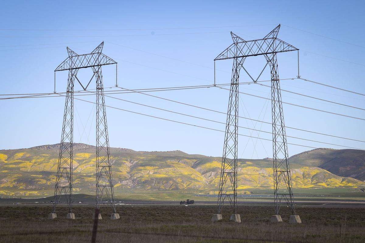 Wildflowers got an early but sporadic start in California Valley after a dry spell followed early winter rains.
