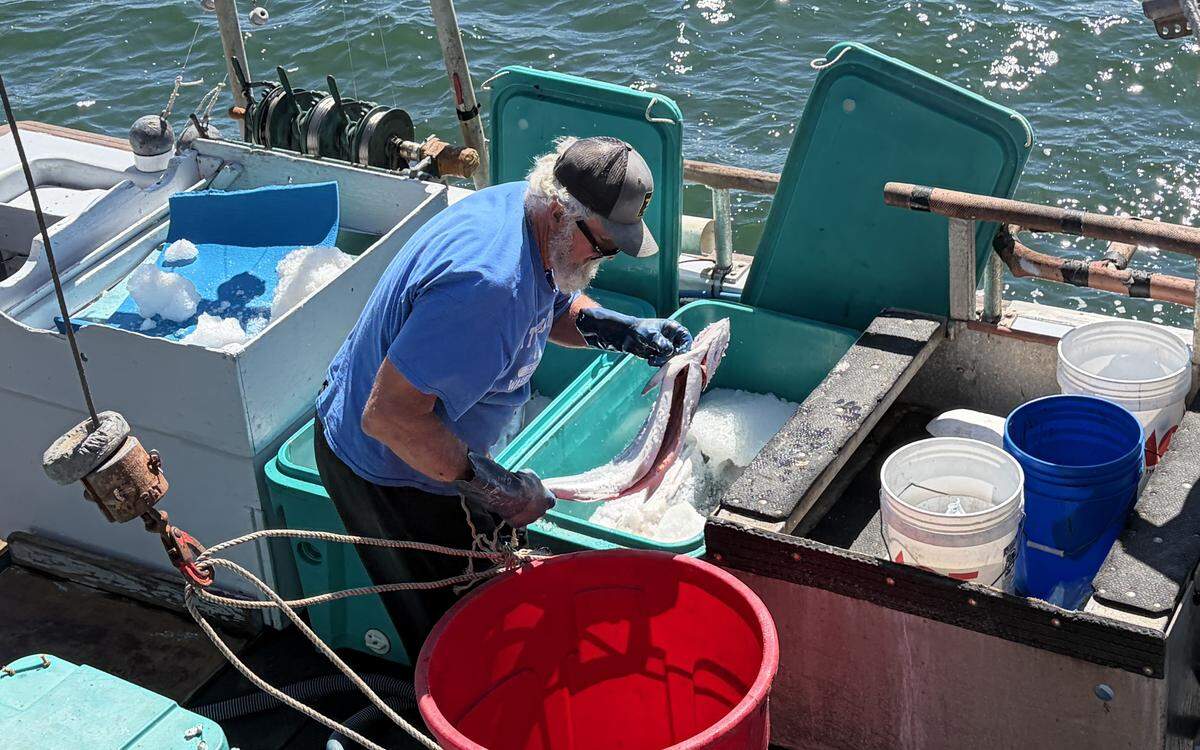 Morro Bay fishermen Jeff French unloads his catch of California king salmon at the dock behind Giovanni’s Fish Market on May 6, 2026.