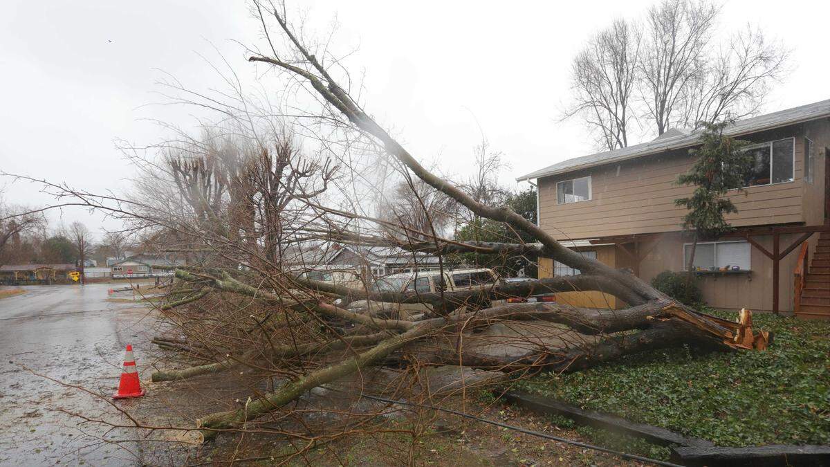 A downed tree narrowly missed a car on I Street in Santa Margarita on Wednesday, Jan. 27, 2021, as heavy rains and gusty winds hammer San Luis Obispo County.