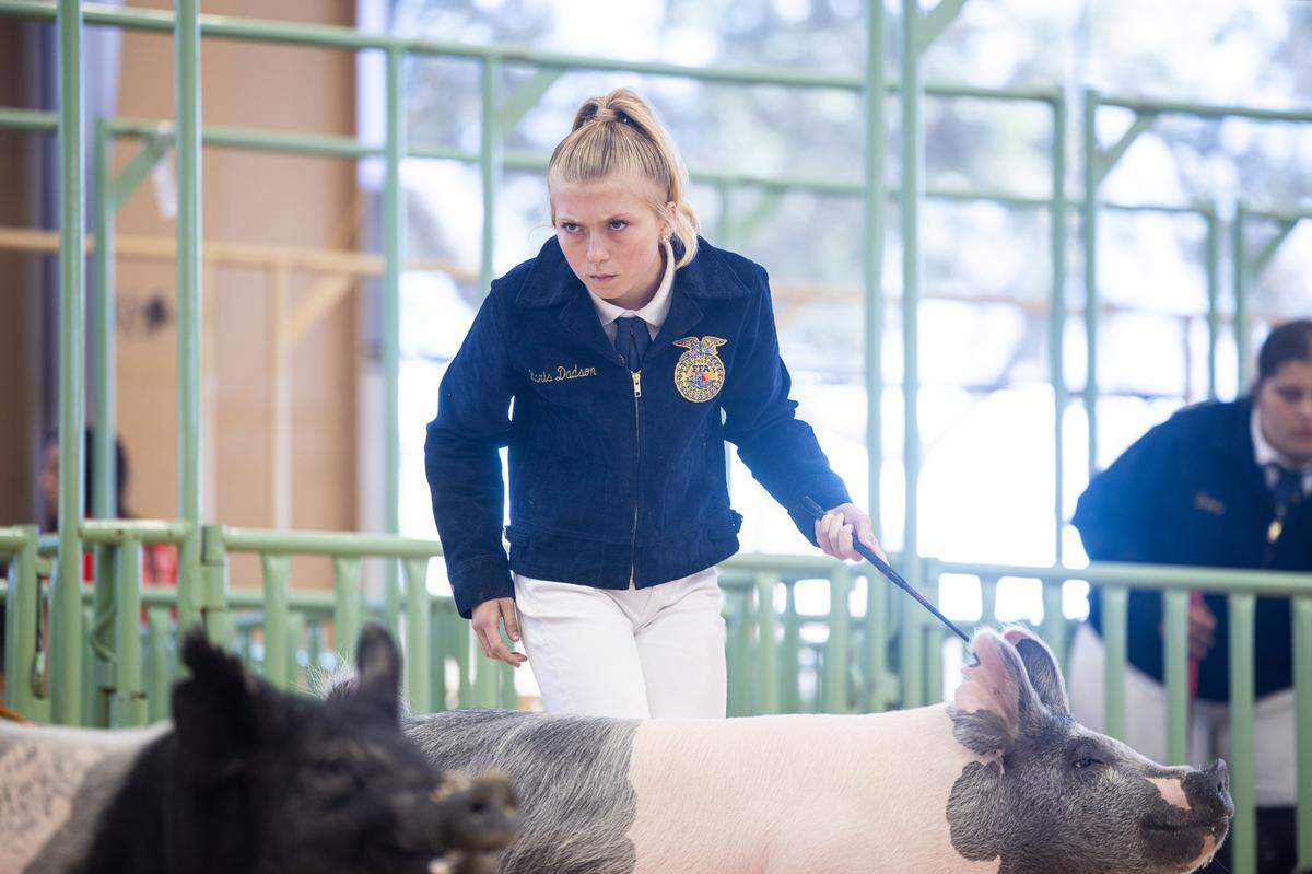 Karis Dadson competes during a swine showmanship event at the Mid-State Fair in Paso Robles in 2024.