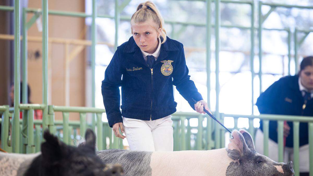 Karis Dadson competes during a swine showmanship event at the Mid-State Fair in Paso Robles in 2024.