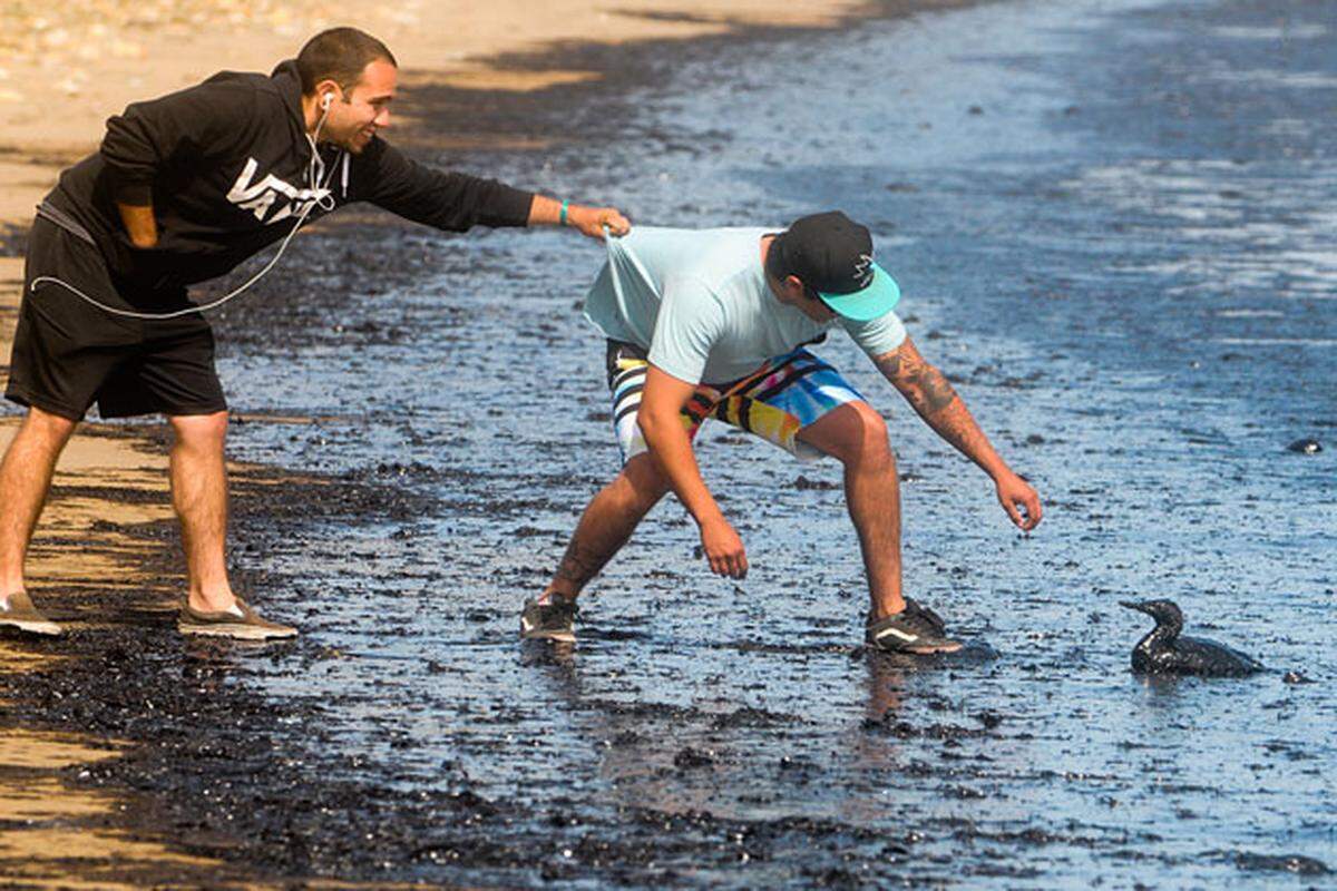 Two men rescue an oil-soaked sea bird at Refugio State Beach following the rupture of a nearby Plains All American pipeline on May 19, 2015. A Santa Barbara Superior Court jury on Friday returned guilty verdicts on nine criminal counts filed against the Texas-based company related to the spill. A mistrial was declared on three other counts.